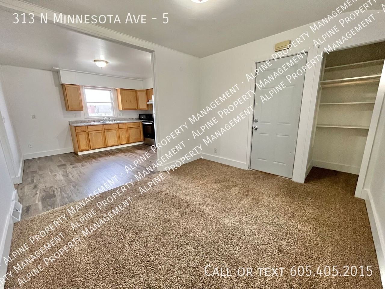 313 N Minnesota Ave #5 - Photo 4 of 20
