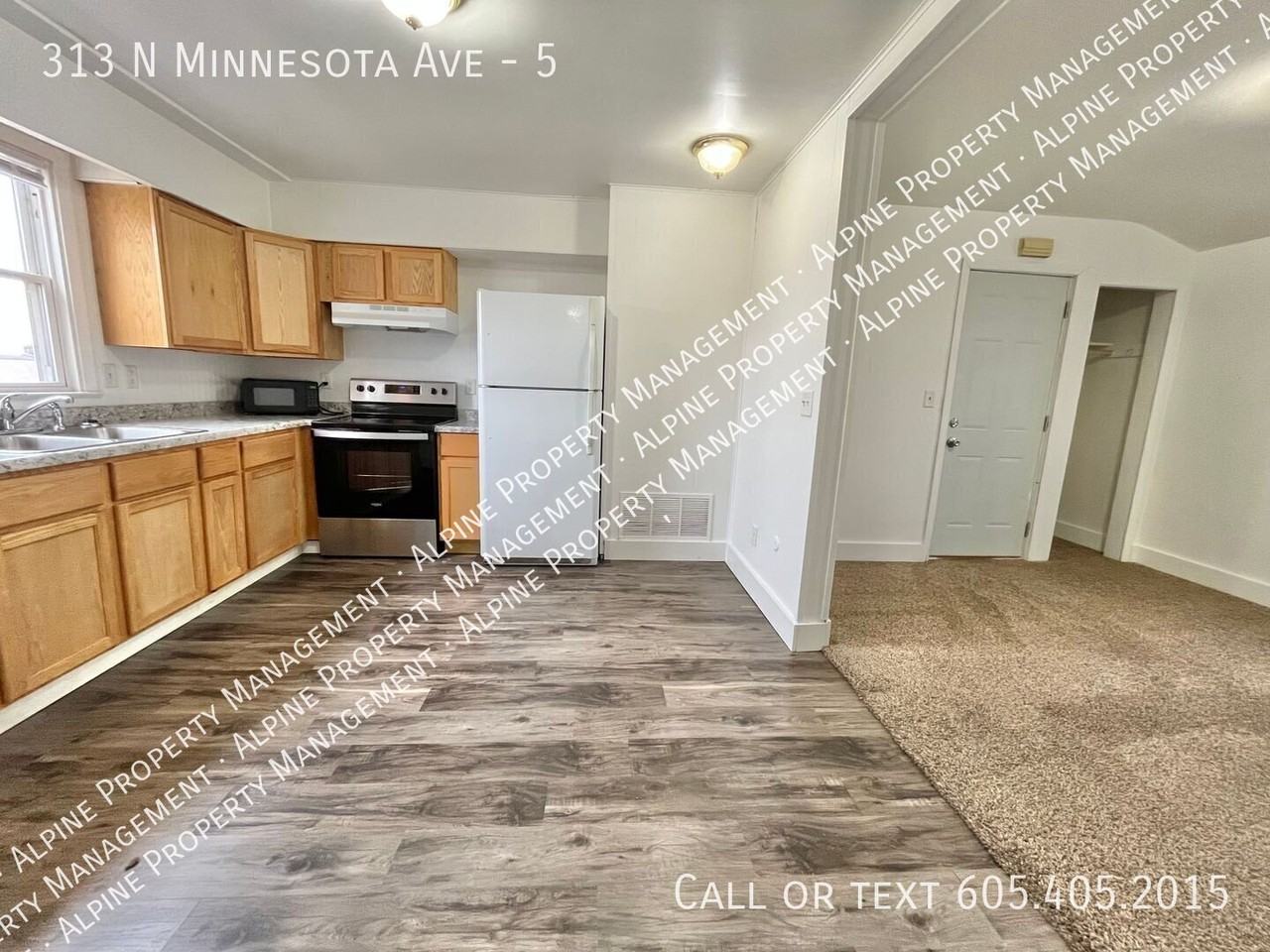 313 N Minnesota Ave #5 - Photo 5 of 20