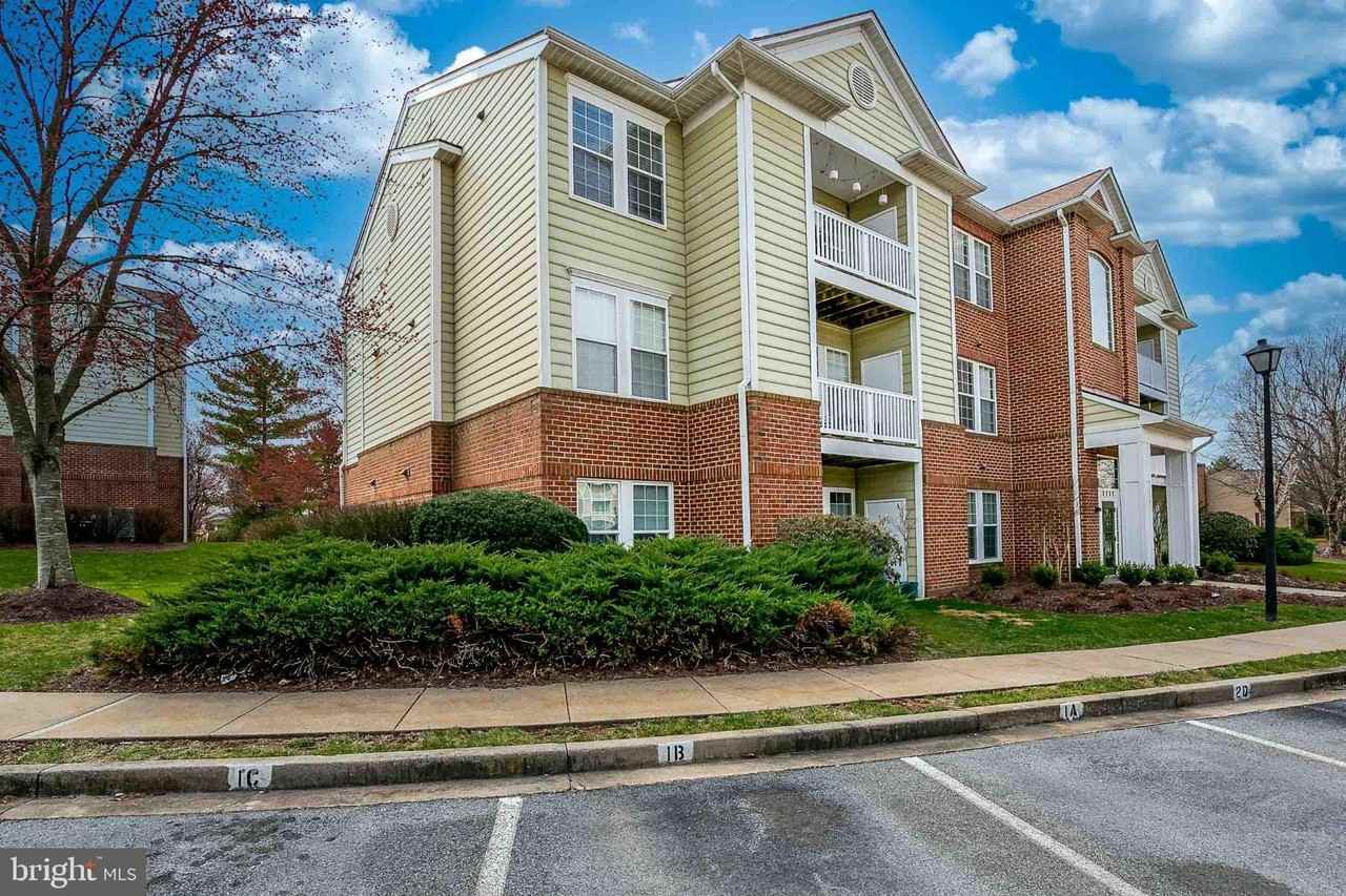 8202 Blue Heron Dr #3C - Photo 3 of 21