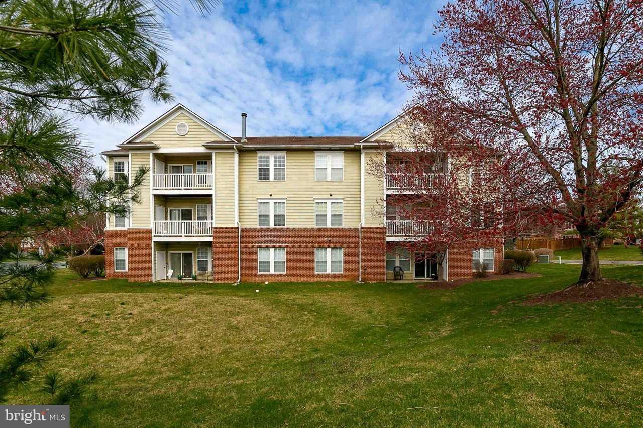 8202 Blue Heron Dr #3C - Photo 4 of 21