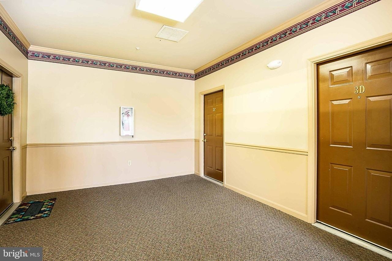 8202 Blue Heron Dr #3C - Photo 5 of 21