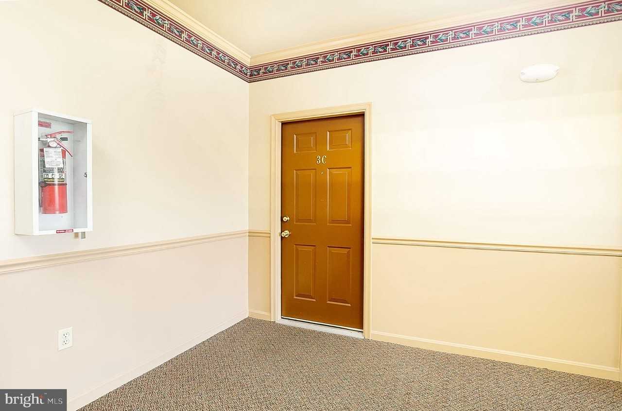 8202 Blue Heron Dr #3C - Photo 6 of 21
