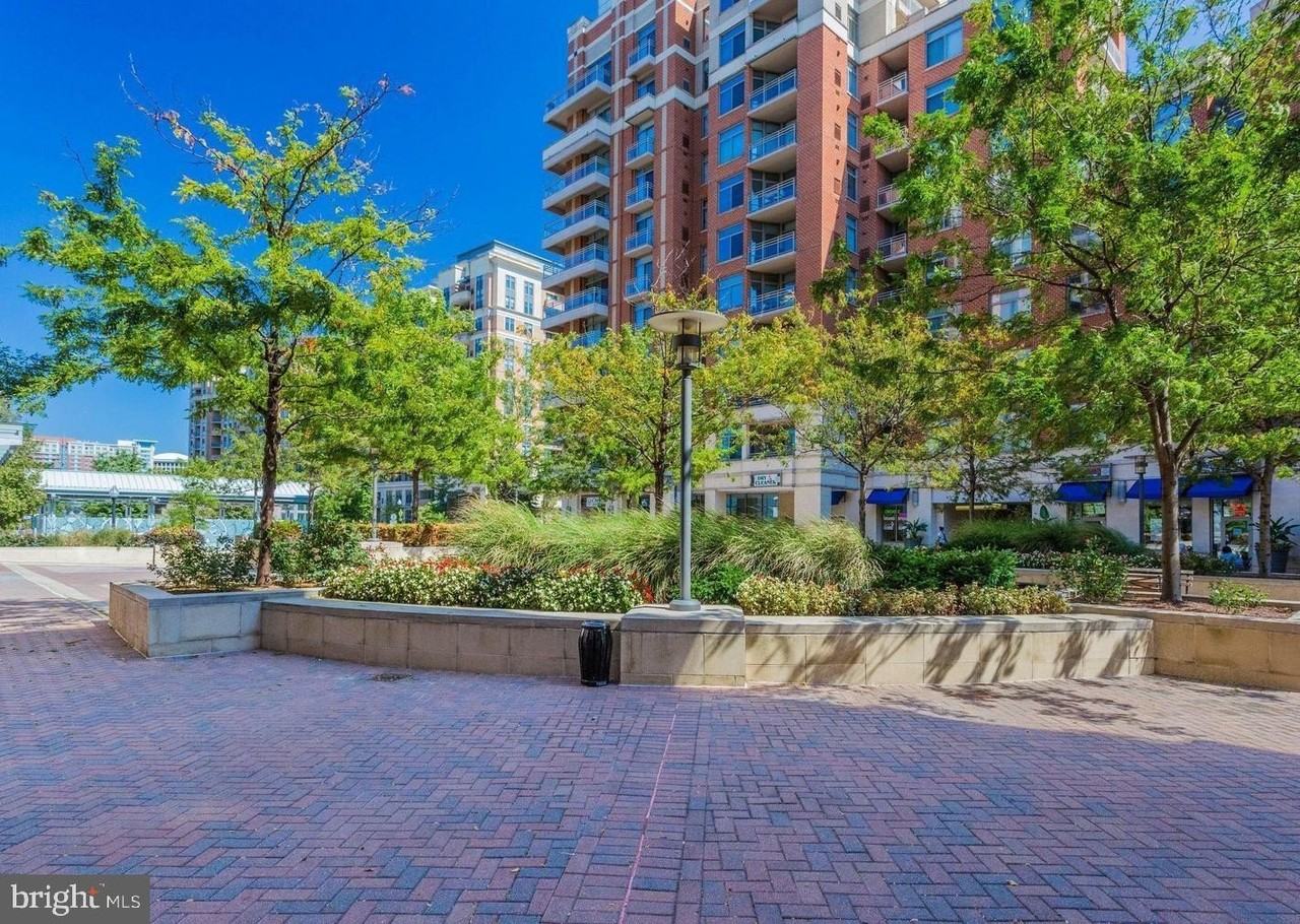 3650 S Glebe Rd #443