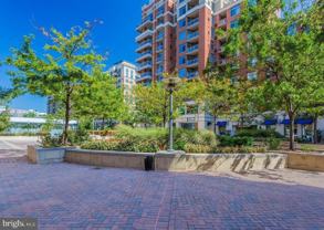 3650 S Glebe Rd #443 - Photo 1 of 1