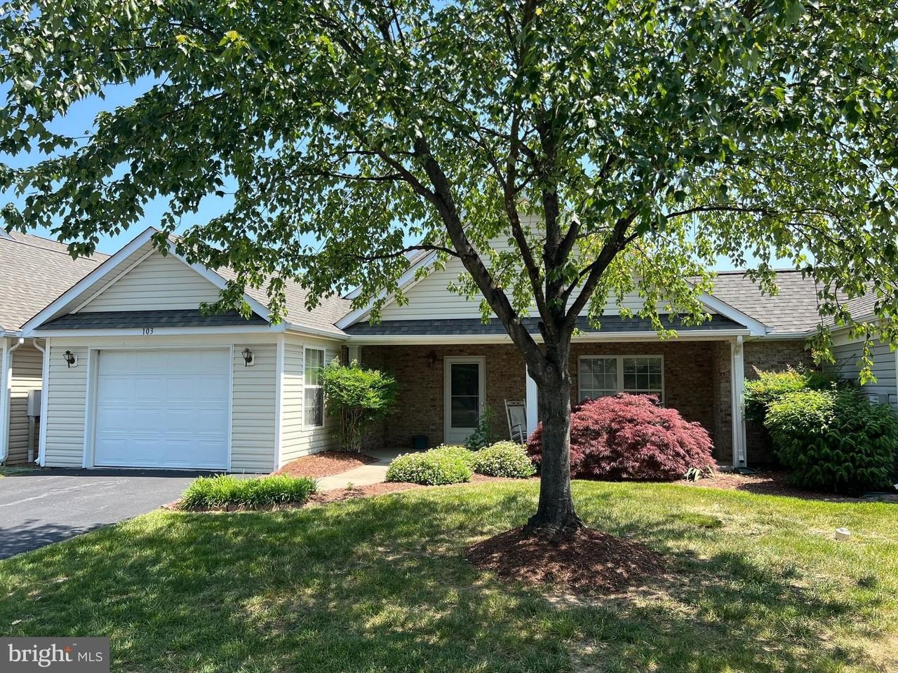 103 Buckwood Ln - Photo 4 of 44