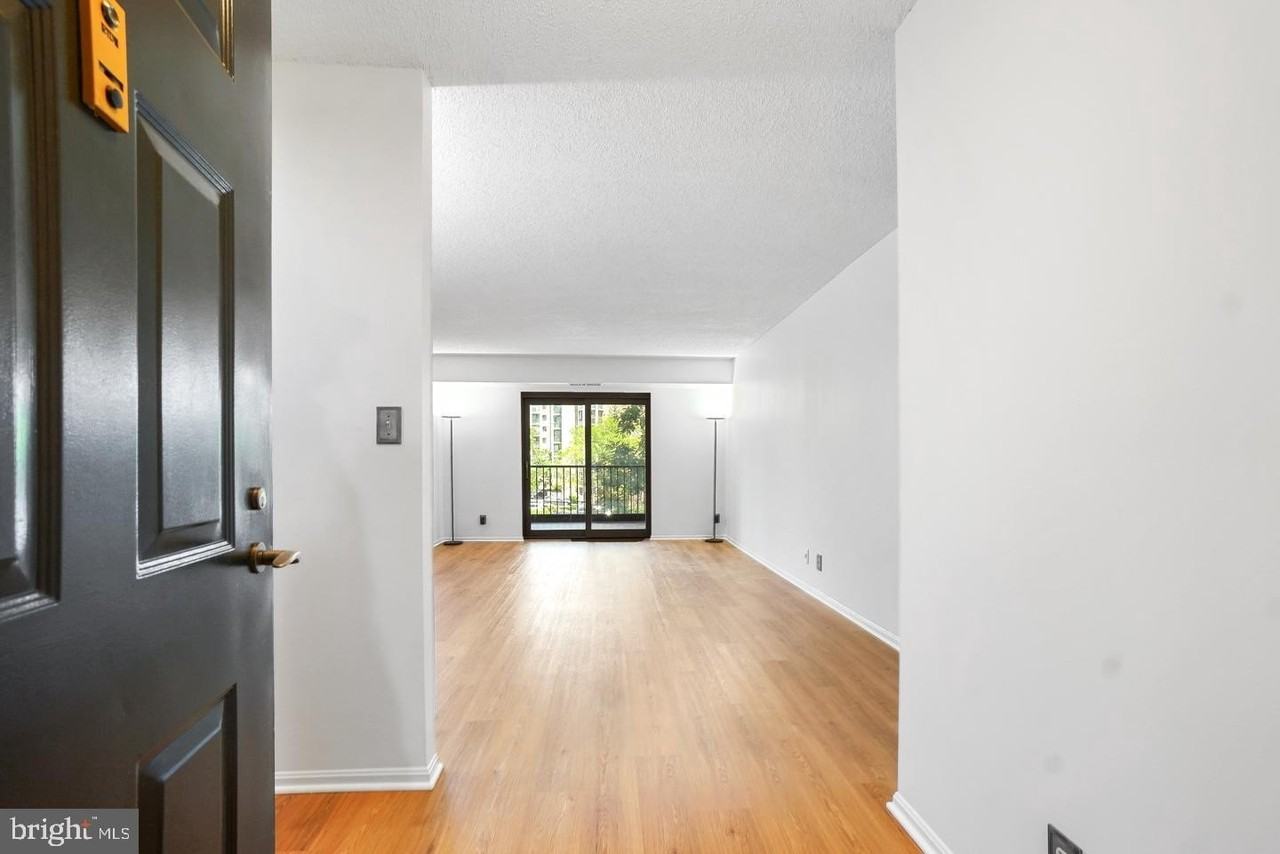 5902 Mount Eagle Dr #315 - Photo 3 of 50