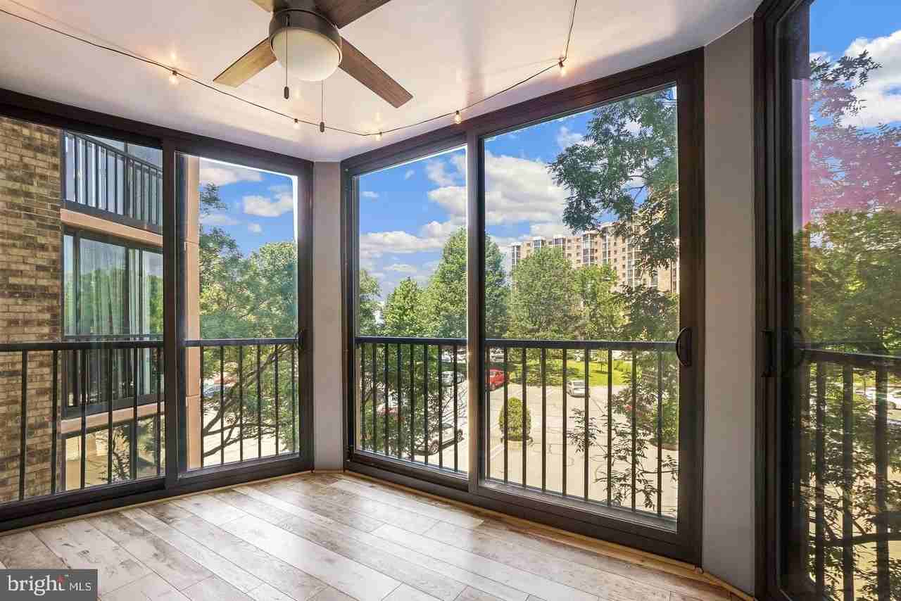 5902 Mount Eagle Dr #315 - Photo 5 of 50