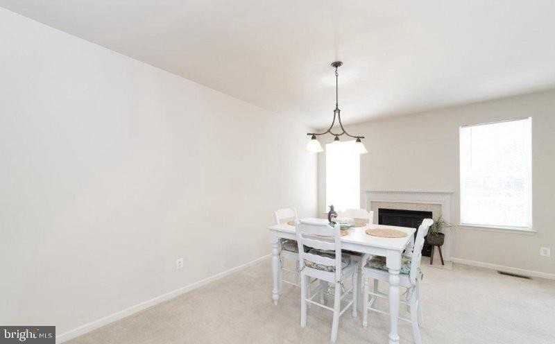 22530 Scattersville Gap Ter - Photo 7 of 39