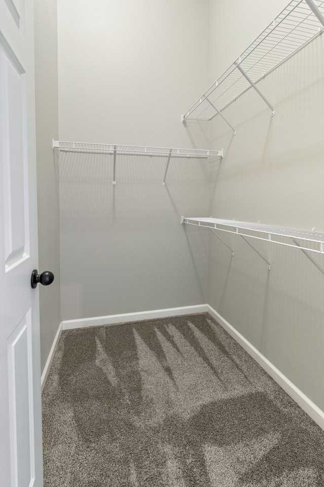 7241 29th St S #1 - Photo 4 of 10