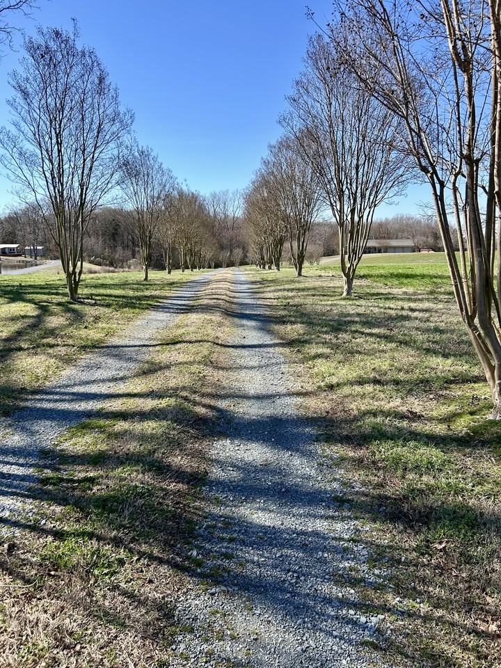 1221 Hamilton Crossroads Rd #1 - Photo 2 of 16