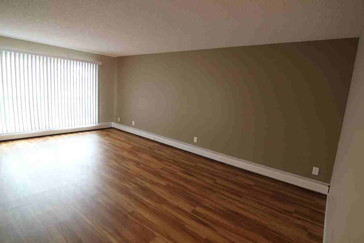 10714 - 10714 78 Ave Nw - Photo 6 of 15