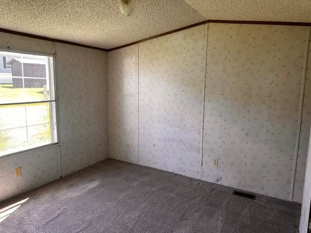 13658 Point Maple Dr #20 - Photo 5 of 7