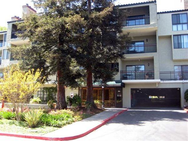 Santa Clara Redwood Country - Photo 3 of 19