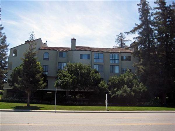 Santa Clara Redwood Country - Photo 2 of 19