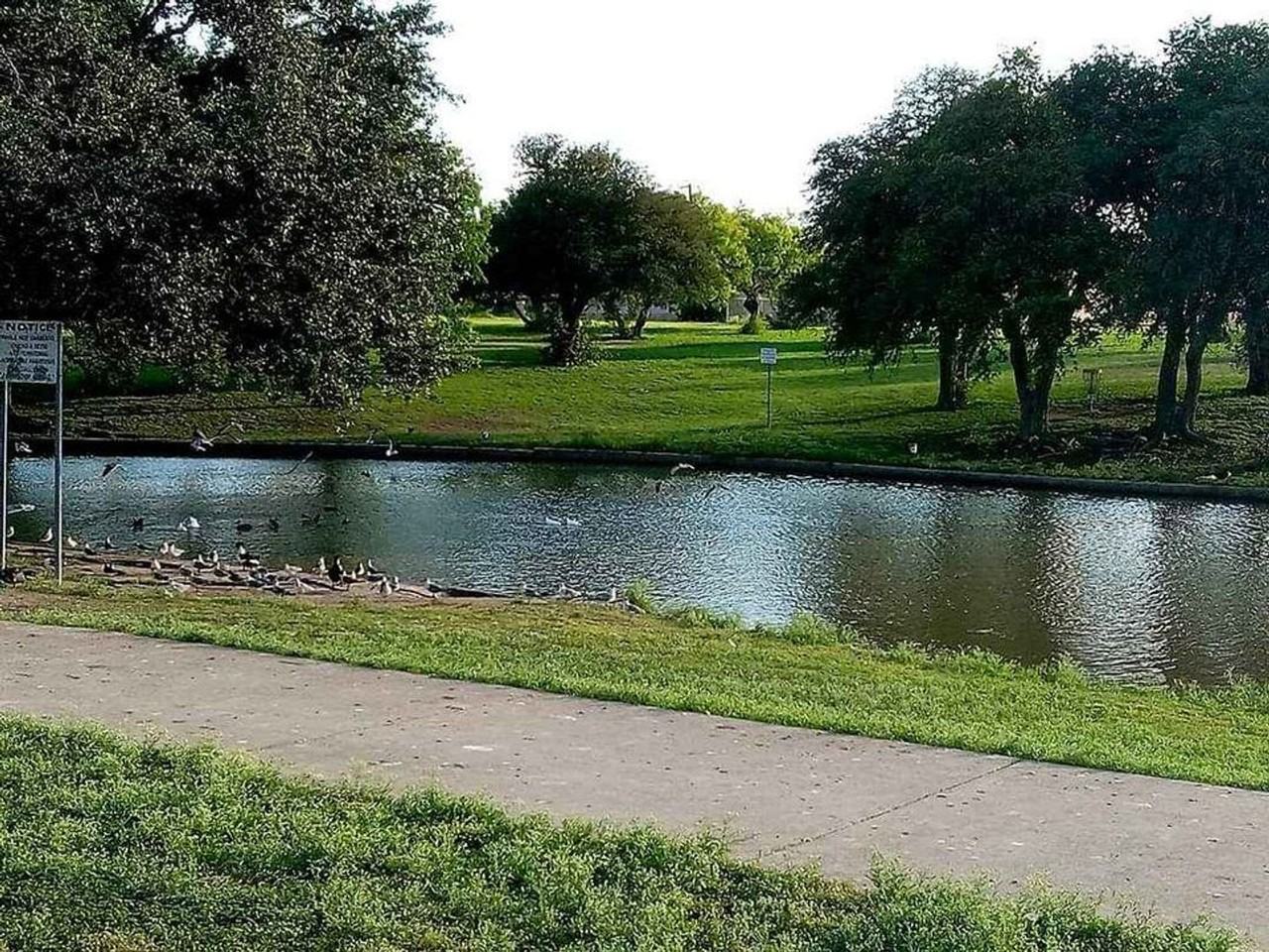Westwood - Photo 7 of 17