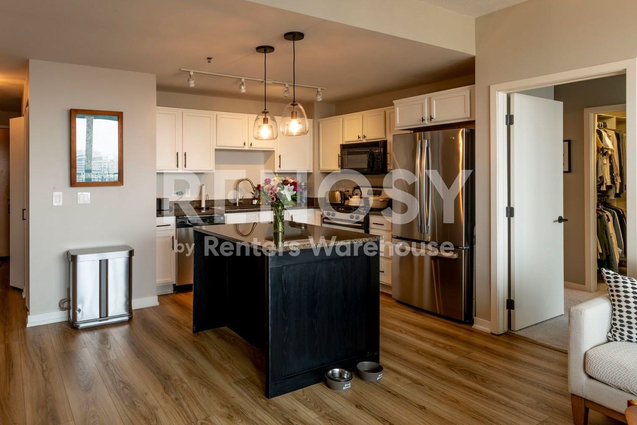 929 Portland Ave S Minneapolis, MN 55404, USA #2202 - Photo 3 of 16