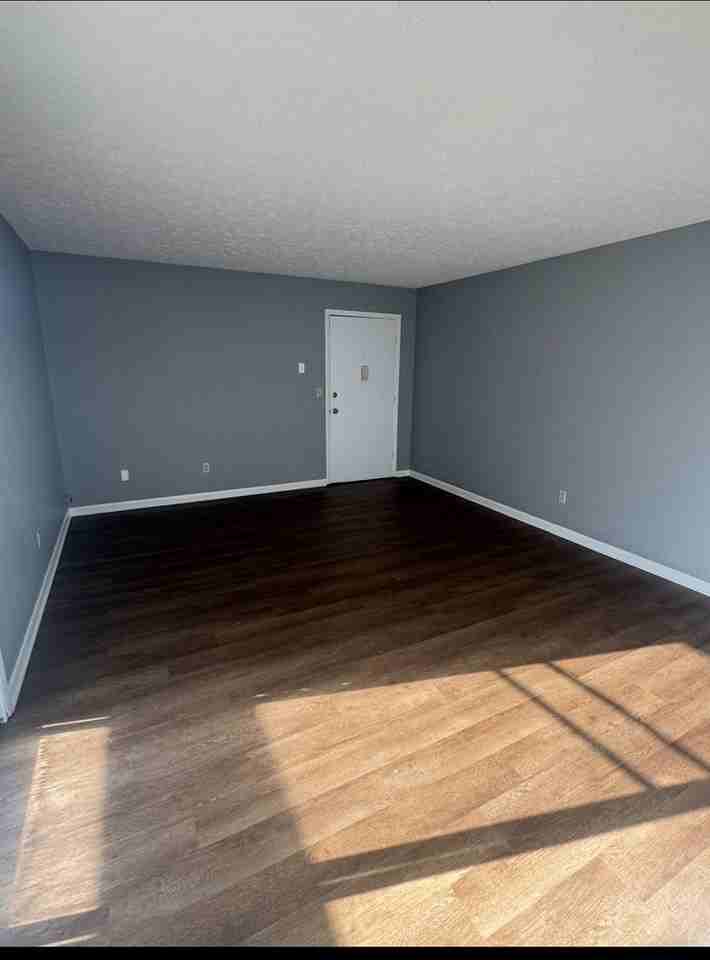 253 University Dr #3 - Photo 3 of 11
