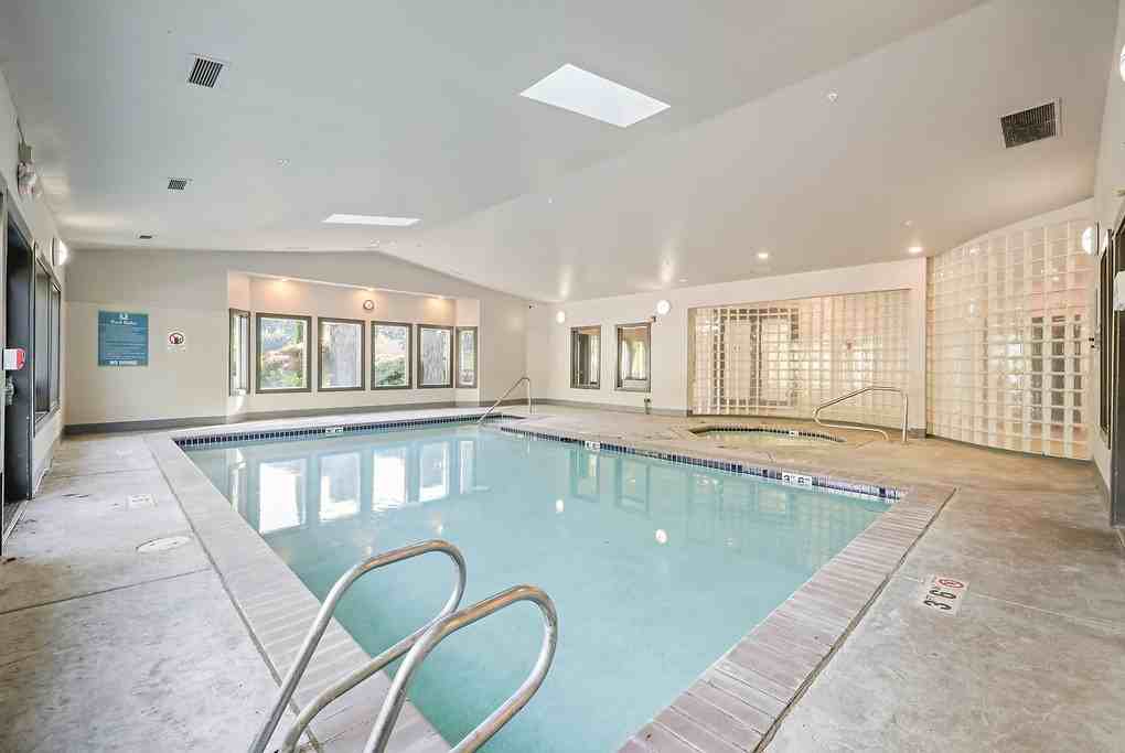 Vesta - Photo 5 of 39