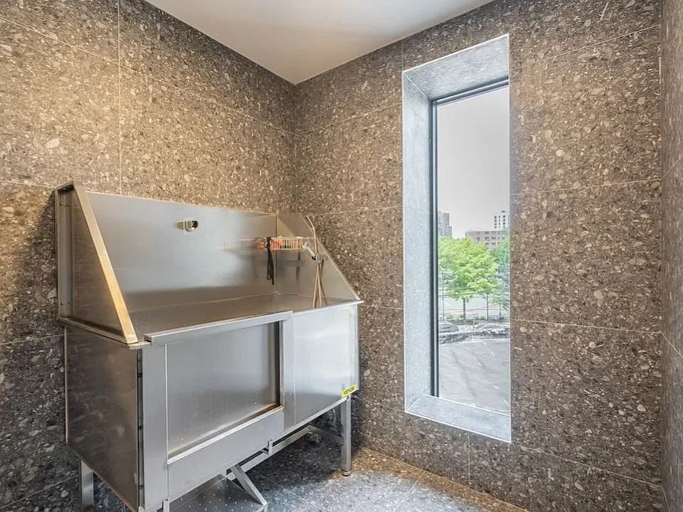 3005 Vernon Blvd - Photo 5 of 13