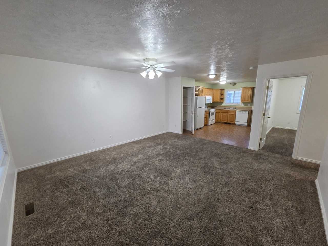 903 Abigail Ct - Photo 4 of 18