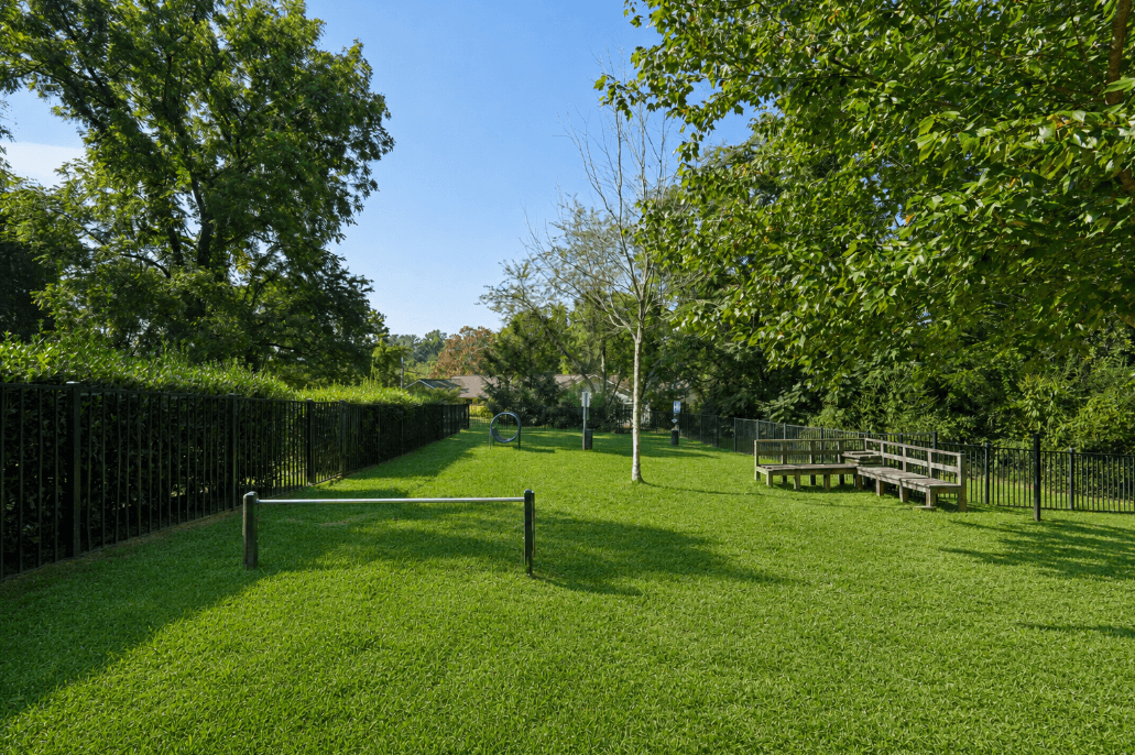 The Northside at Merrimon - Photo 6 of 17