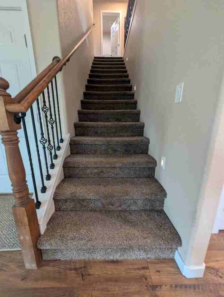71 Mt Elbert Dr - Photo 6 of 21