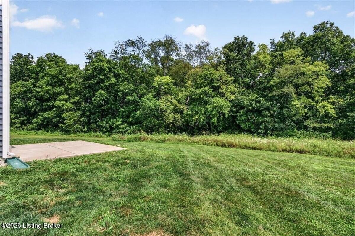 1034 Dry Run Ct - Photo 4 of 37