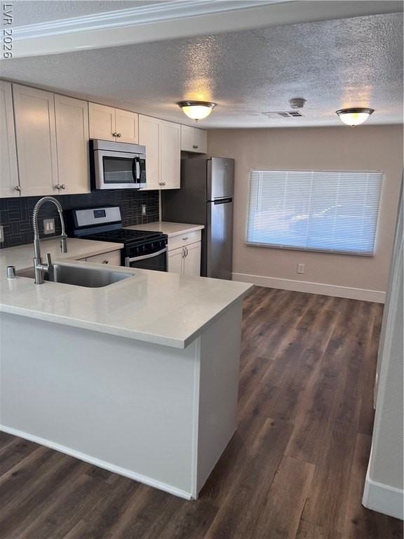 3490 Death Valley Dr - Photo 5 of 10