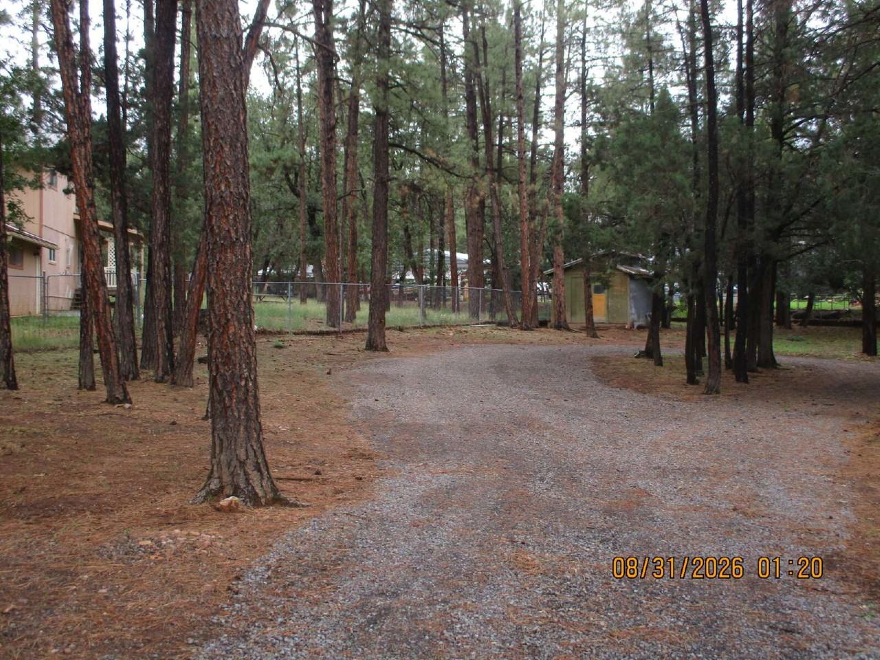 1415 Flores Dr - Photo 4 of 14