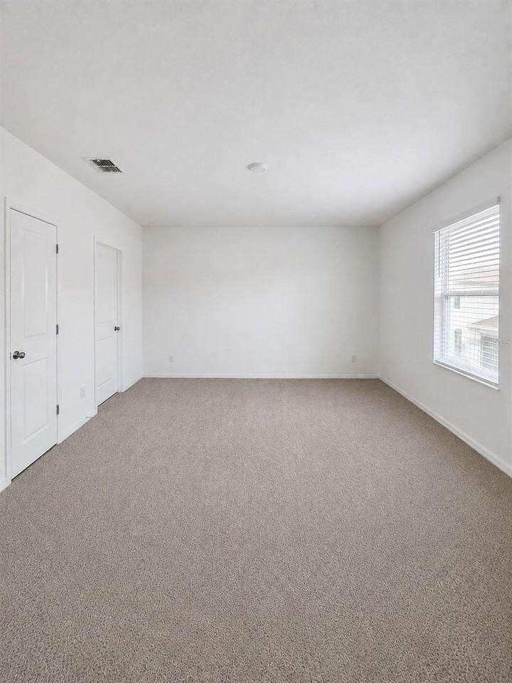 17269 Bigleaf Mahogany Ln - Photo 6 of 13