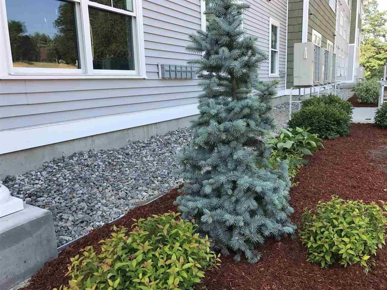 10 E Ridge Dr #109 - Photo 7 of 40