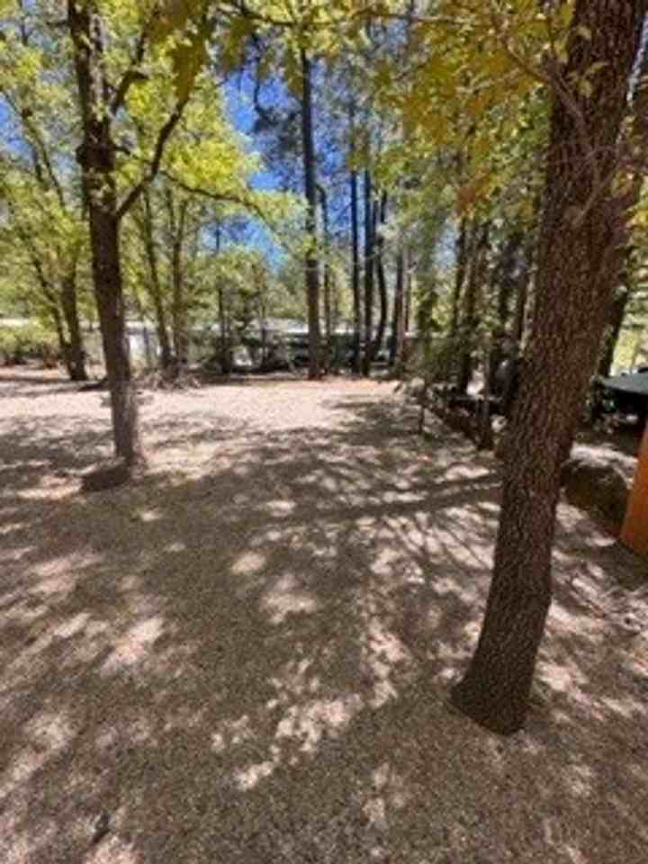 4313 Racoon Ct - Photo 2 of 20