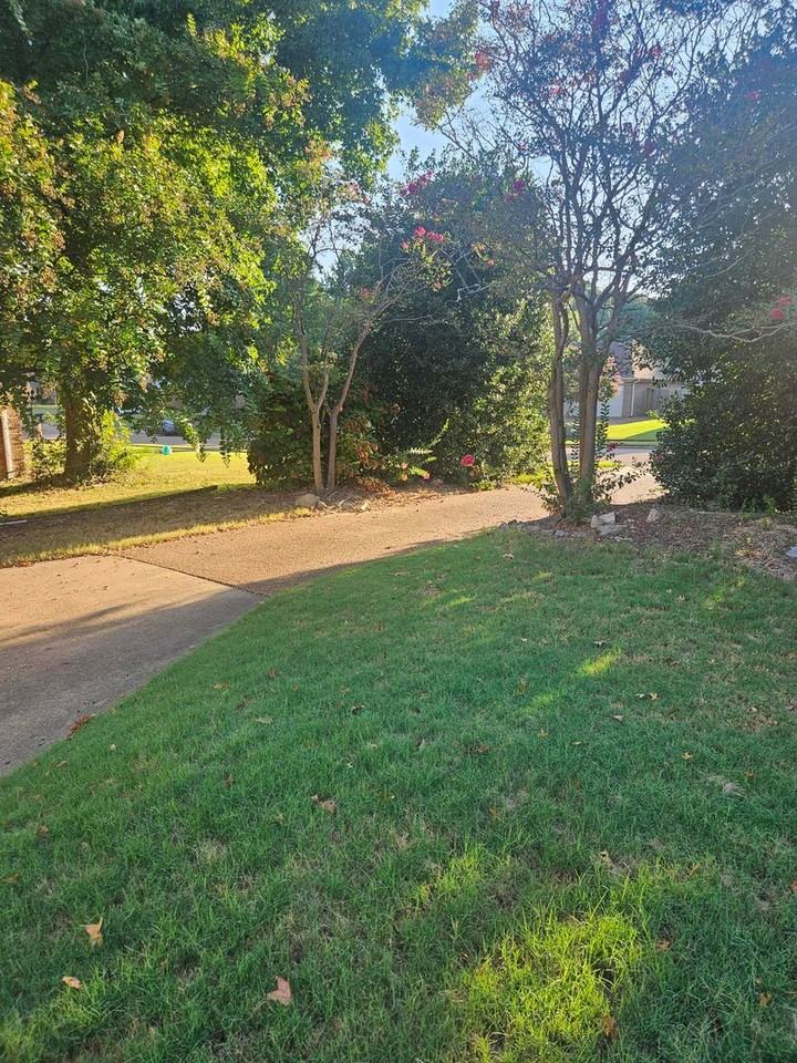 3741 Westridge Cv - Photo 6 of 11