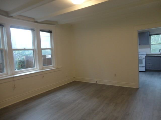 34 Dixon Avenue - Photo 4 of 22