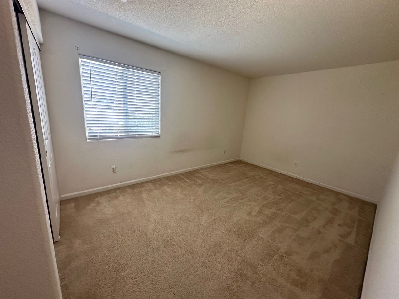 2705 Jayden Way - Photo 5 of 12