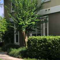 538 Climbing Ivy Ct - Photo 1 of 1