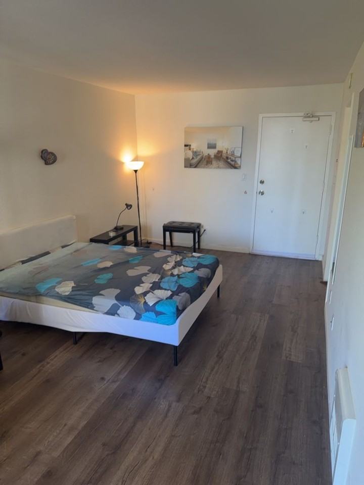 1614 Hudson St #217 - Photo 4 of 13