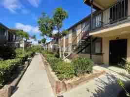 featured image of Camino de la Plaza / Willow Rd