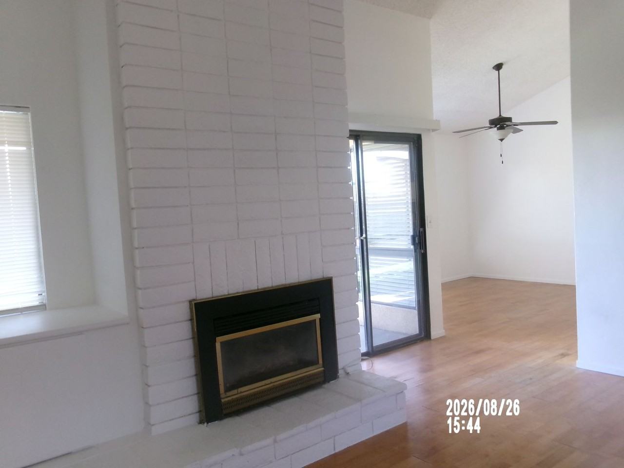 1000 Olive Dr #7 - Photo 5 of 14