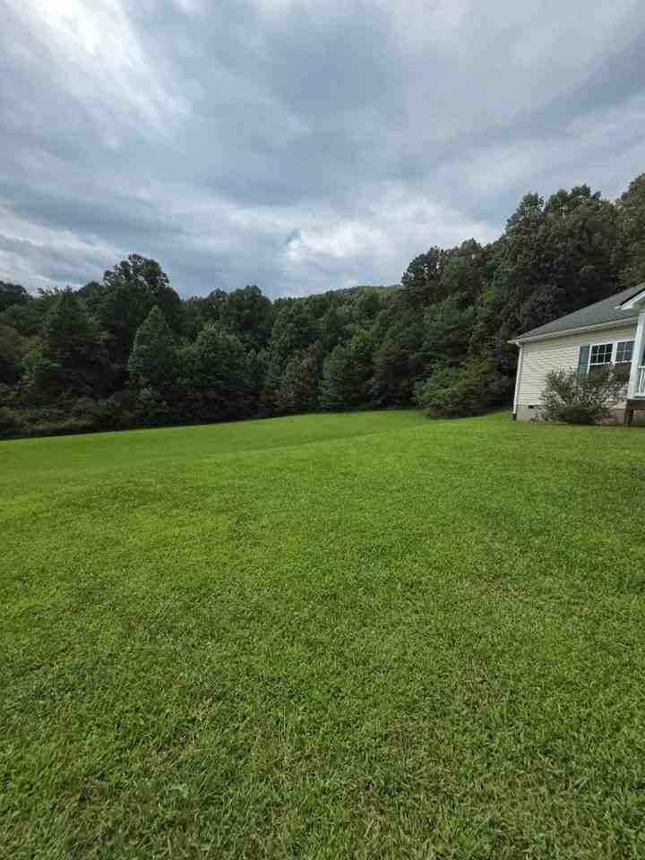 1174 Buchanan Loop Rd - Photo 2 of 23