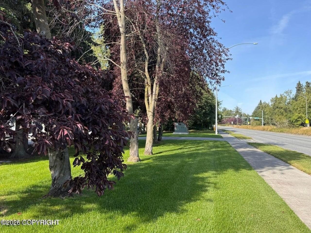 3000 W Northern Lights Blvd #1D - Photo 3 of 25