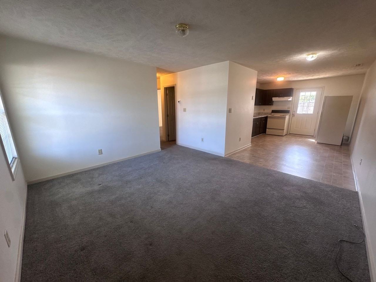143 Centipede Ln - Photo 2 of 21