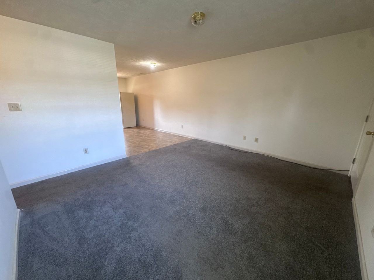 143 Centipede Ln - Photo 3 of 21