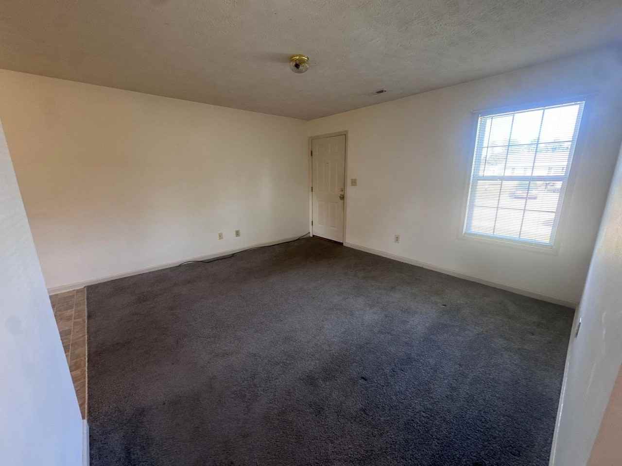 143 Centipede Ln - Photo 4 of 21