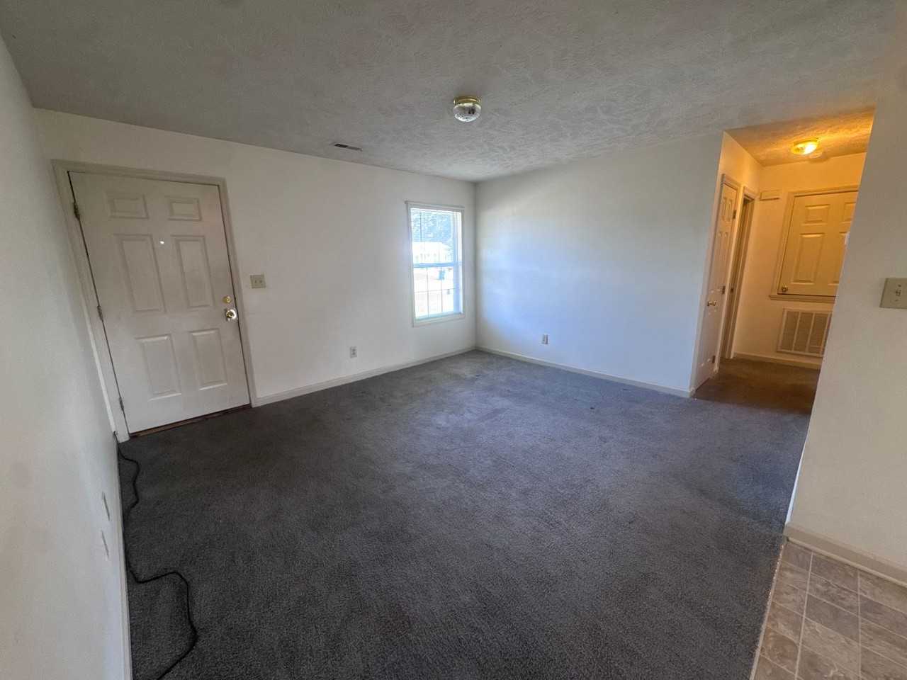 143 Centipede Ln - Photo 5 of 21