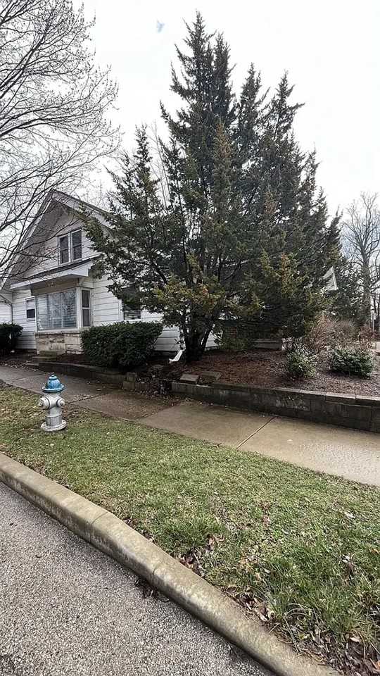 810 N Lincoln St - Photo 4 of 23