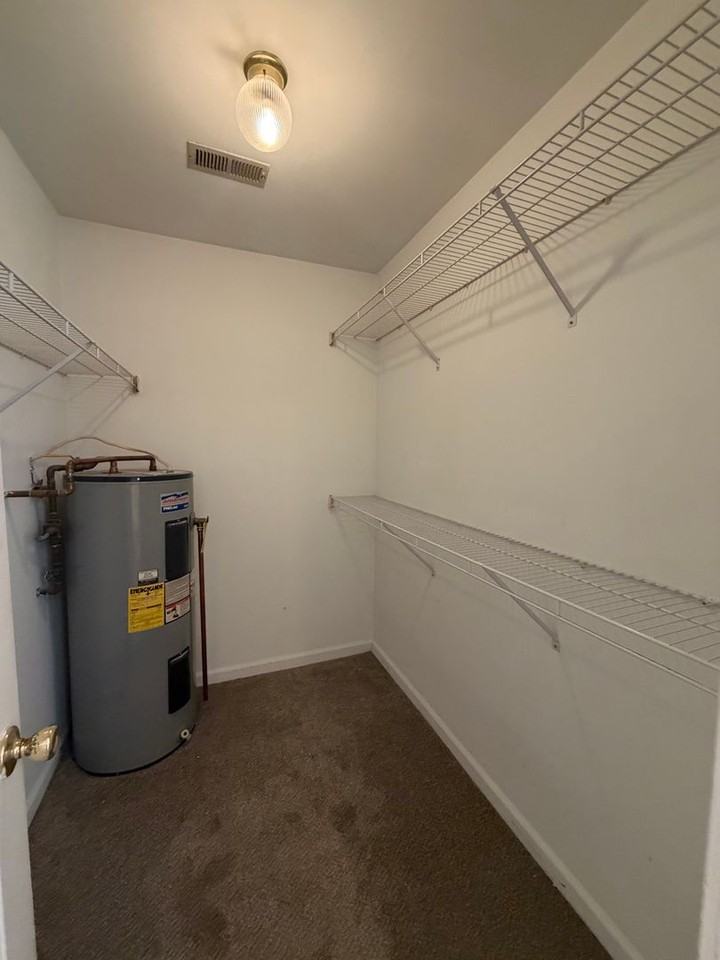1724 Carriage Cove Ln - Photo 6 of 10