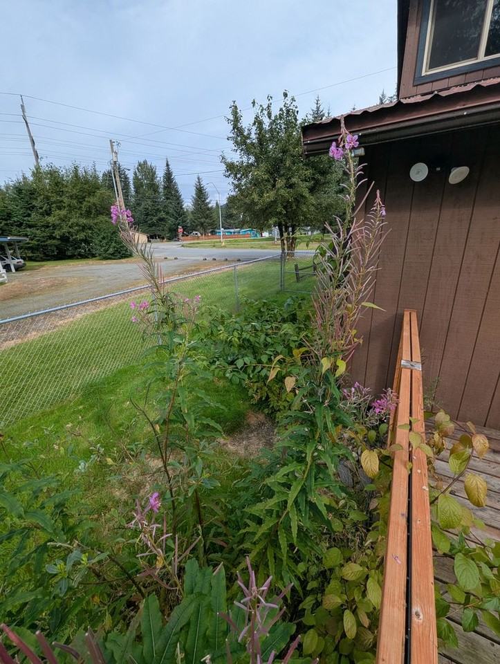 8496 Thunder Mountain Rd #A - Photo 6 of 37