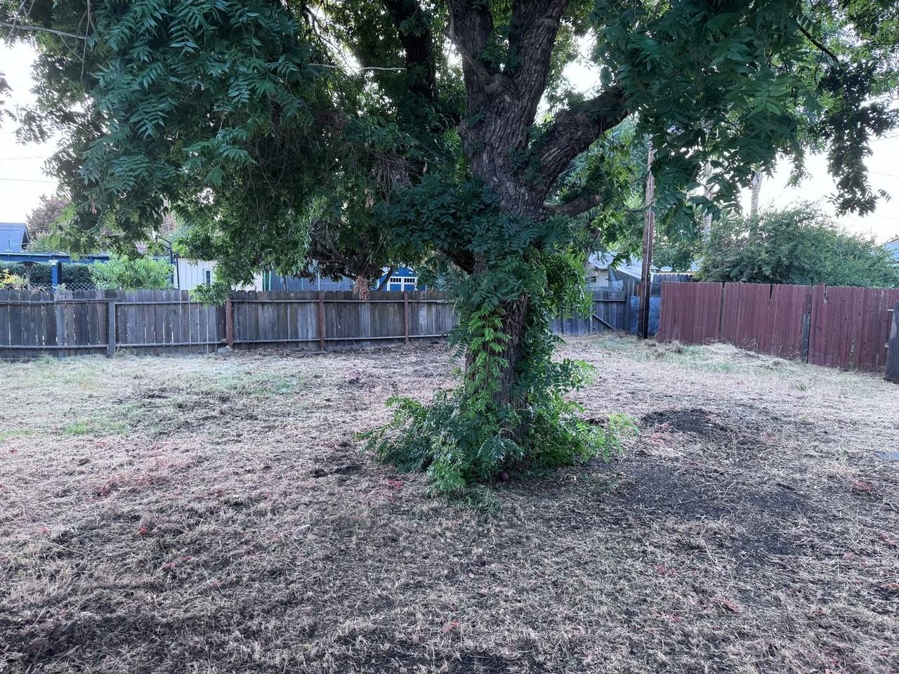 3415 Wallace Ave - Photo 3 of 13