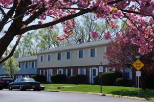 featured image of 209 Surrey Ct